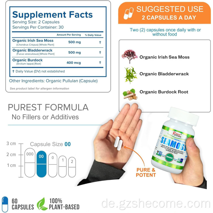 Bio-Shecome-Seemoos-Extrakt unterstützt die Wurzelimmunität